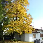 Nella Natura