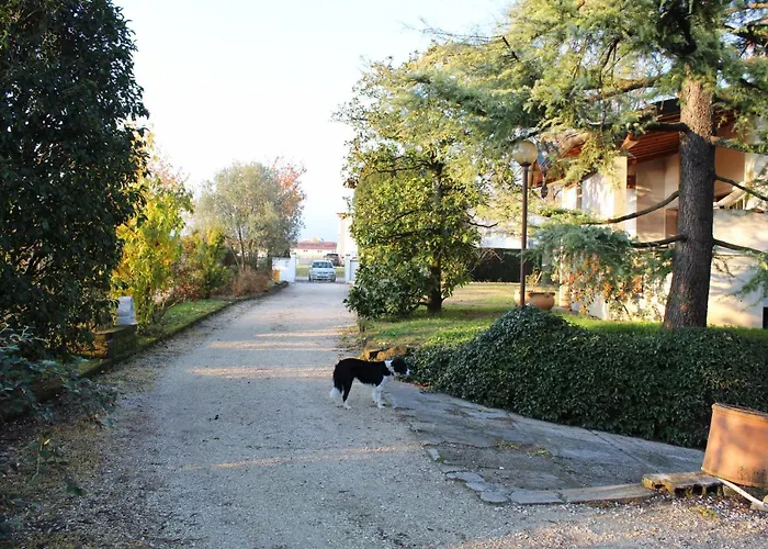 Nella Natura Oda ve Kahvaltı 4*